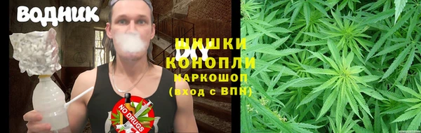 спайс Алзамай