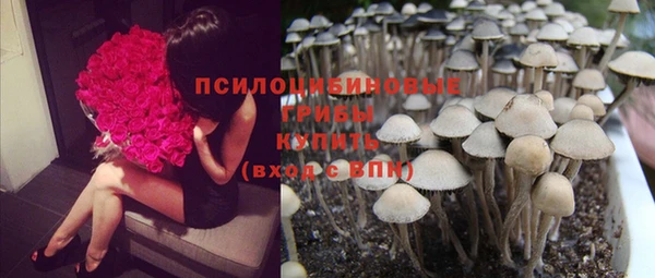 mdpv Алексин