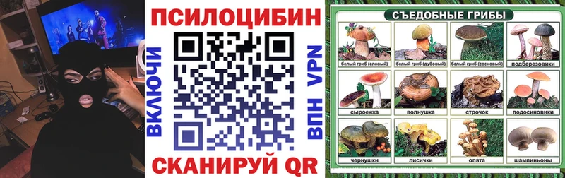 Псилоцибиновые грибы MAGIC MUSHROOMS  наркошоп  Дорогобуж 